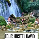 Hostel David *