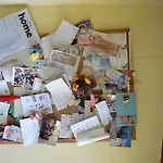 Hostel David *