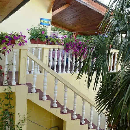 Hostel David Mostar