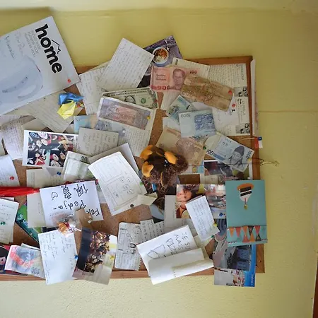 Hostel David *