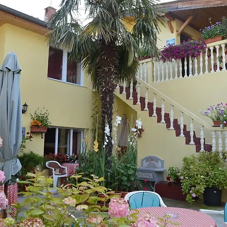 Hostel David