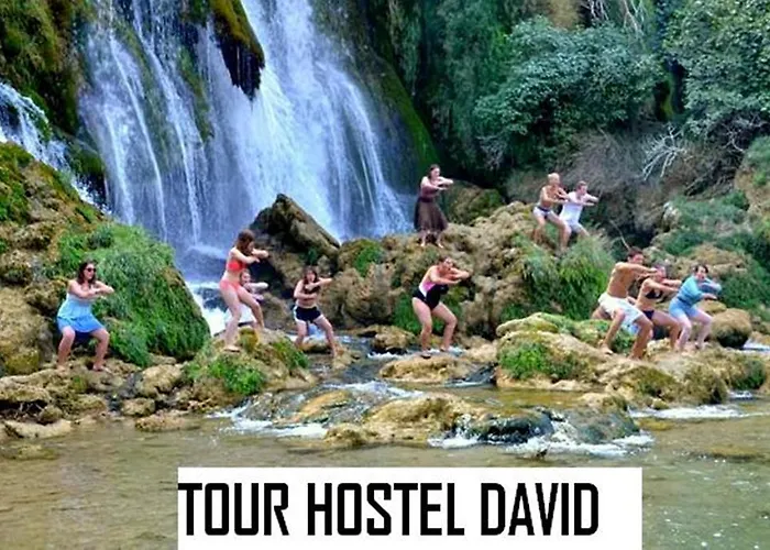 Hostel David *